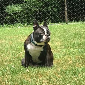 Meet your Posher, April